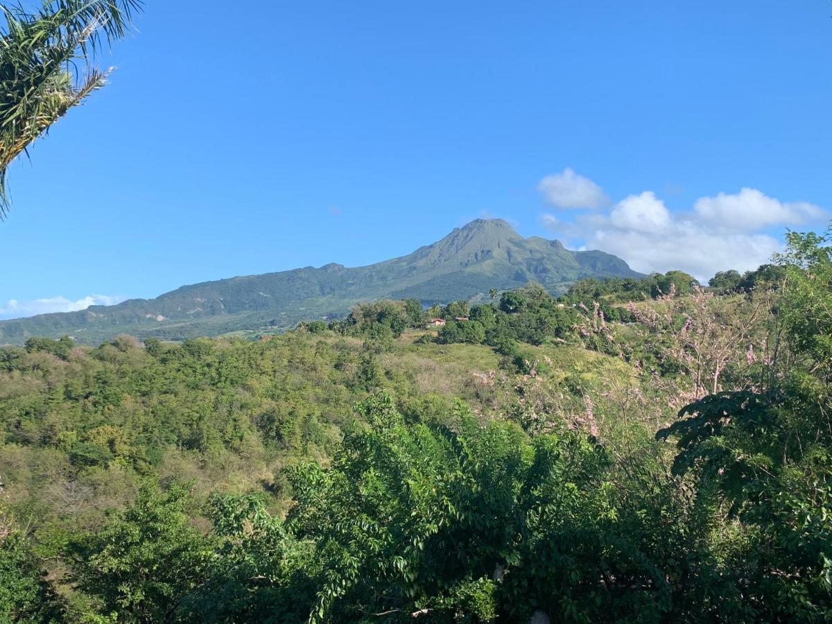 LODGE COLIBRIS vue panoramique mer et montagne pelée , 500 m plage dans un parc , Calme assuré Idéal pour découvrir le nord Caraïbes Le Carbet Extérieur photo