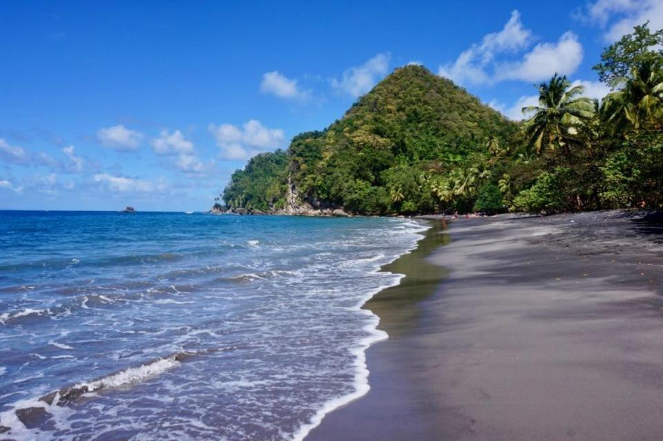 LODGE COLIBRIS vue panoramique mer et montagne pelée , 500 m plage dans un parc , Calme assuré Idéal pour découvrir le nord Caraïbes Le Carbet Extérieur photo