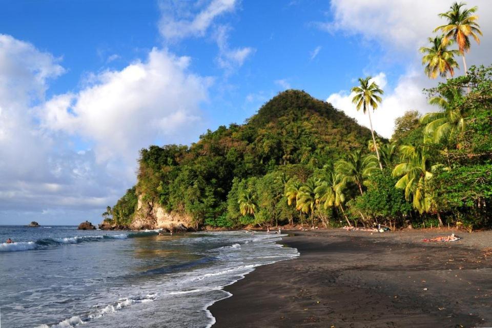 LODGE COLIBRIS vue panoramique mer et montagne pelée , 500 m plage dans un parc , Calme assuré Idéal pour découvrir le nord Caraïbes Le Carbet Extérieur photo