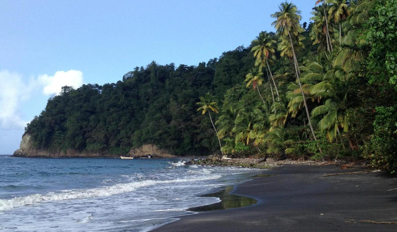 LODGE COLIBRIS vue panoramique mer et montagne pelée , 500 m plage dans un parc , Calme assuré Idéal pour découvrir le nord Caraïbes Le Carbet Extérieur photo
