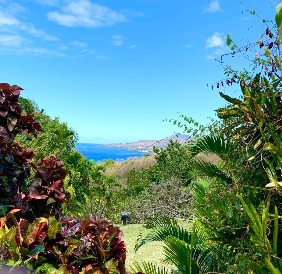 LODGE COLIBRIS vue panoramique mer et montagne pelée , 500 m plage dans un parc , Calme assuré Idéal pour découvrir le nord Caraïbes Le Carbet Extérieur photo