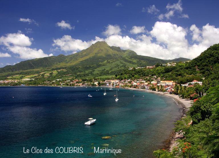 LODGE COLIBRIS vue panoramique mer et montagne pelée , 500 m plage dans un parc , Calme assuré Idéal pour découvrir le nord Caraïbes Le Carbet Extérieur photo